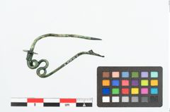 Foto von Bronzeschlangenfibel (NHMW-PRAE-025942)